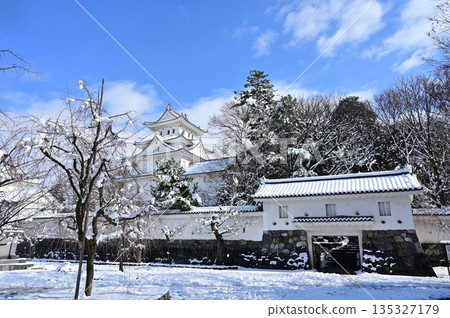 晴朗日子裡的雪景與大垣城 135327179
