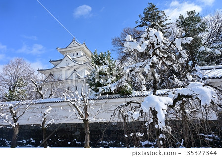 大垣城雪景晴朗。 135327344