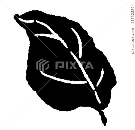 Hand-drawn monochrome illustrations of basil (frames, wreaths, patterns, etc.) Hand-drawn monochrome illustrations of basil (frames, wreaths, patterns, etc.) 135328204