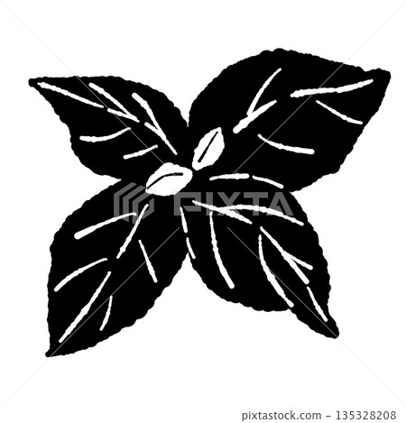 Hand-drawn monochrome illustrations of basil (frames, wreaths, patterns, etc.) Hand-drawn monochrome illustrations of basil (frames, wreaths, patterns, etc.) 135328208