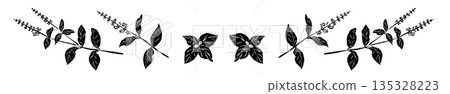 Hand-drawn monochrome illustrations of basil (frames, wreaths, patterns, etc.) Hand-drawn monochrome illustrations of basil (frames, wreaths, patterns, etc.) 135328223