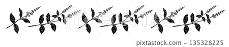 Hand-drawn monochrome illustrations of basil (frames, wreaths, patterns, etc.) Hand-drawn monochrome illustrations of basil (frames, wreaths, patterns, etc.) 135328225