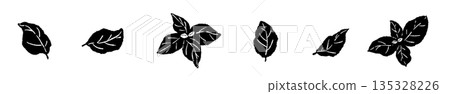 Hand-drawn monochrome illustrations of basil (frames, wreaths, patterns, etc.) Hand-drawn monochrome illustrations of basil (frames, wreaths, patterns, etc.) 135328226