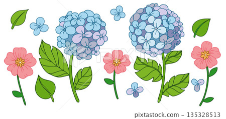 Set of vector illustrations with blue hydrangea flowers and leaves. 135328513