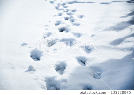 Footprints in the fresh snow and the winter sunshine 135328970