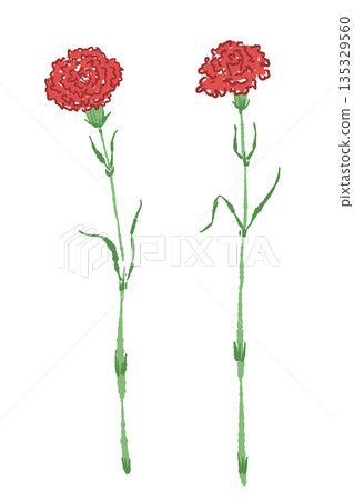 母親節紅色康乃馨手繪彩色插畫（邊框、花環、花束等） 135329560