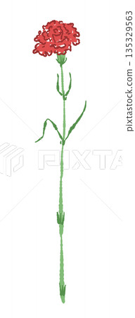 Mother's Day red carnation hand-drawn color illustration material (frame, wreath, bouquet, etc.) 135329563