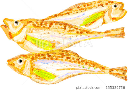 Illustration of a sandfish 135329756