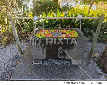浮花與神社淨化 135329828