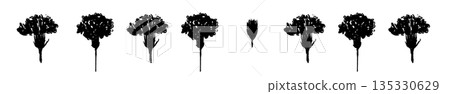 Mother's Day carnation hand-drawn monochrome illustration material (frame, wreath, bouquet, etc.) Mother's Day carnation hand-drawn monochrome illustration material (frame, wreath, bouquet, etc.) 135330629