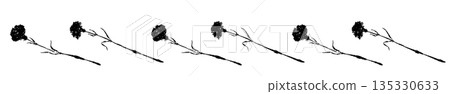 Mother's Day carnation hand-drawn monochrome illustration material (frame, wreath, bouquet, etc.) Mother's Day carnation hand-drawn monochrome illustration material (frame, wreath, bouquet, etc.) 135330633
