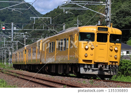 [JR-V] 白備線 115系電車 (單人車廂 4車組) 135330893