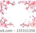 Cherry blossom frame 135331356