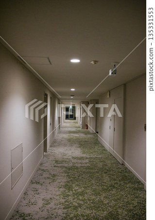 通往建築物後方的空走廊 135331553