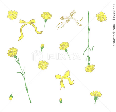 母親節黃色康乃馨手繪彩色插畫（相框、花環、花束等） 135331565