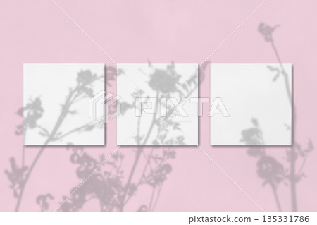 Natural light casts shadows from the field grass on 3 square sheets of white paper lying on a pink background. Mockup 135331786
