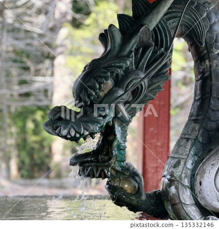 神社的淨水池（chozuya）裡供奉著水神，它是一條噴水的龍。 135332146