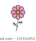 Simple cosmos color icon 135332451