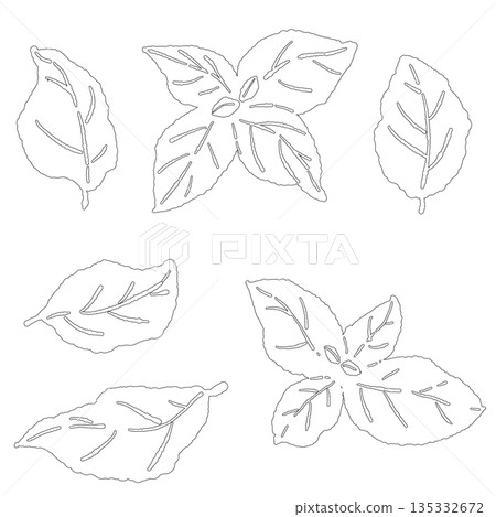 手繪羅勒線條畫插圖（框架、花環、圖案等） 135332672