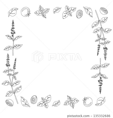 Hand-drawn line drawing illustrations of basil (frames, wreaths, patterns, etc.) Hand-drawn line drawing illustrations of basil (frames, wreaths, patterns, etc.) 135332686