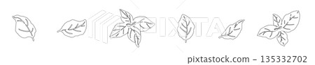 Hand-drawn line drawing illustrations of basil (frames, wreaths, patterns, etc.) 135332702