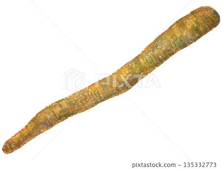 Burdock illustration oil pastel drawing 135332773