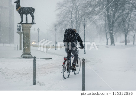 Cyclist rides heavy snowfall winter city altmarkt rathaus under low visibility conditions. Snow covered path cold weather urban solitude highlight daily commute, resilience and sustainable mobility Cyclist rides heavy snowfall winter city altmarkt rathaus under low visibility conditions. Snow covered path cold weather urban solitude highlight daily commute, resilience and sustainable mobility 135332886