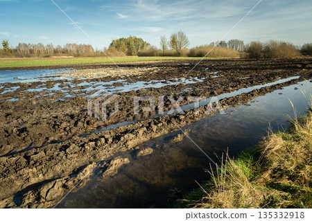 View of a plowed field with puddles of water after the melt View of a plowed field with puddles of water after the melt 135332918