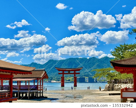Scenery of Miyajima 135332942