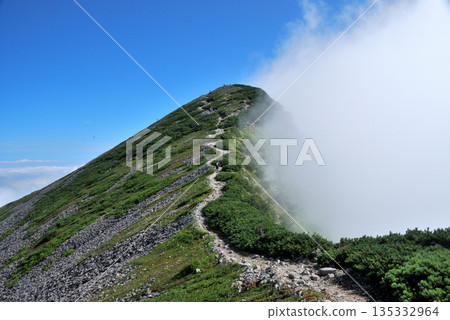 [Mountain scenery] Hiking trail leading to the summit of Mount Korenge in the Northern Alps of Niigata and Nagano prefectures 135332964