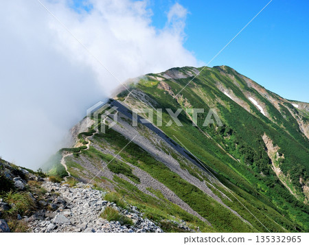 【山景】通往新潟縣和長野縣北部阿爾卑斯山脈光蓮華山頂峰的健行路線 135332965