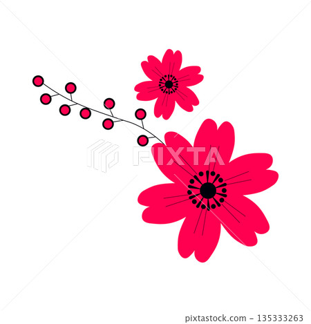Pair of Pink Cosmos Flowers with Red Berries Pair of Pink Cosmos Flowers with Red Berries 135333263