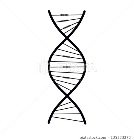 Detailed DNA Double Helix Diagram for Genetic Analysis Detailed DNA Double Helix Diagram for Genetic Analysis 135333273