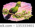 Green Guinea turaco with pink sky against black background, Illustration 135333401