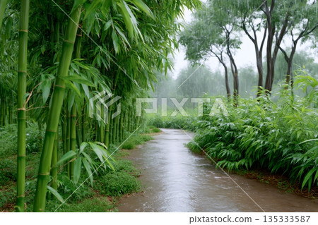 Wet path winding through green bamboo forest during rain Wet path winding through green bamboo forest during rain 135333587