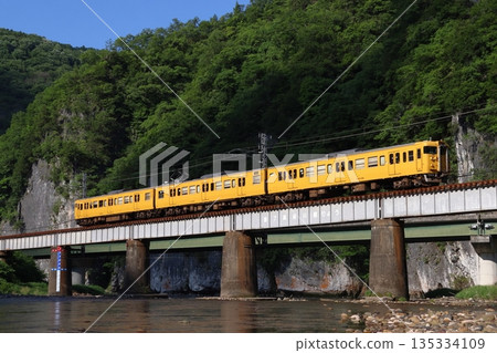 白眉線115系列車駛過綠意盎然的高橋川 135334109