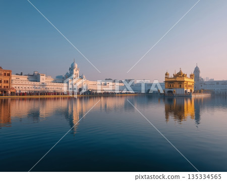 Harmandir sahib. Also known as the golden temple. Glowing under the sunrise with a clear reflection in the amrit sarovar sacred pool. India 135334565
