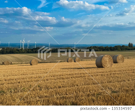 Wide countryside view with golden fields and round hay bales under a blue sky with white clouds. Clean rural landscape with distant wind turbines and calm summer light Wide countryside view with golden fields and round hay bales under a blue sky with white clouds. Clean rural landscape with distant wind turbines and calm summer light 135334597