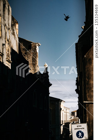 Light And Shadow On Catania Street Wall: Italian Sicilian Urban Scene With Weathered Facade, Window, And Street Lamp In Strong Sunlight 135334669