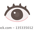 Eye illustrations that can be used for medical and health explanations 135335012
