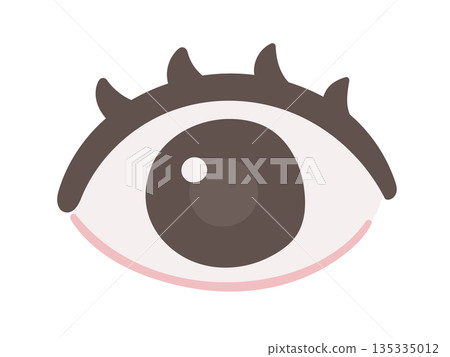 Eye illustrations that can be used for medical and health explanations 135335012
