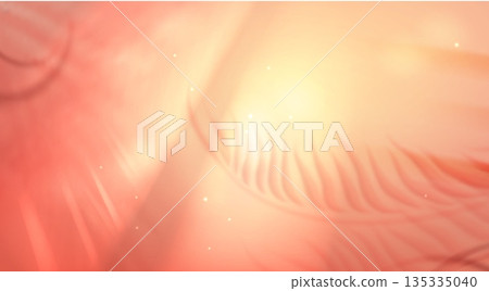 Summer background with soft palm shadow 135335040