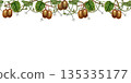 Horizontal seamless border with kiwi fruits on green branches with leaves. Watercolor frame template in a botanical style on a white background for labels, textured backgrounds, and scrapbooking 135335177