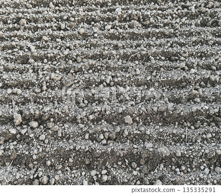 Close view of dry cultivated soil with parallel ridges creating natural agricultural texture and repetitive pattern Close view of dry cultivated soil with parallel ridges creating natural agricultural texture and repetitive pattern 135335291