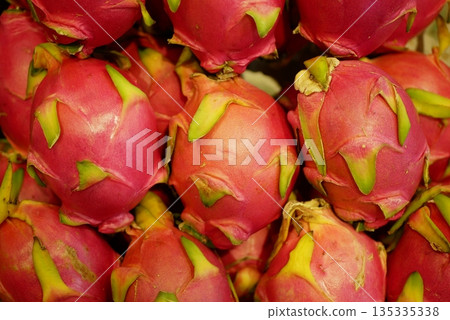 Pitaya, Selenicereus undatus Pitahaya, ripe dragon fruit, strawberry pear. Closed-up photo of new harvested stacked displayed neatly stall market. Leather-like skin and scaly spikes exterior, white Pitaya, Selenicereus undatus Pitahaya, ripe dragon fruit, strawberry pear. Closed-up photo of new harvested stacked displayed neatly stall market. Leather-like skin and scaly spikes exterior, white 135335338
