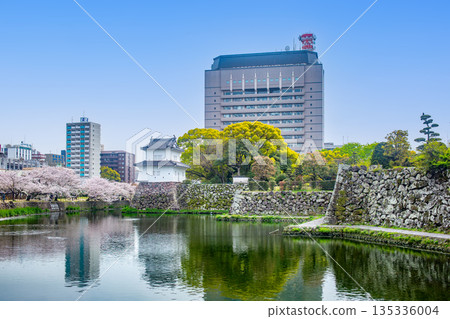 大分城公園和縣立辦公大樓的櫻花 大分城公園和縣立辦公大樓的櫻花 135336004