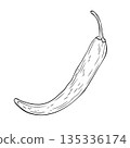 Monochrome botanical spicy hot chilli pepper. Graphic hand drawn ink black and white vector 135336174