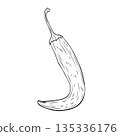 Monochrome botanical spicy hot chilli pepper. Graphic hand drawn ink black and white vector 135336176
