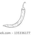 Monochrome botanical spicy hot chilli pepper. Graphic hand drawn ink black and white vector 135336177