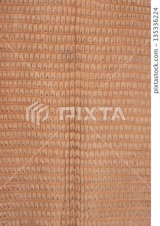 Lizard Skin Leather Texture Lizard Skin Leather Texture 135336224